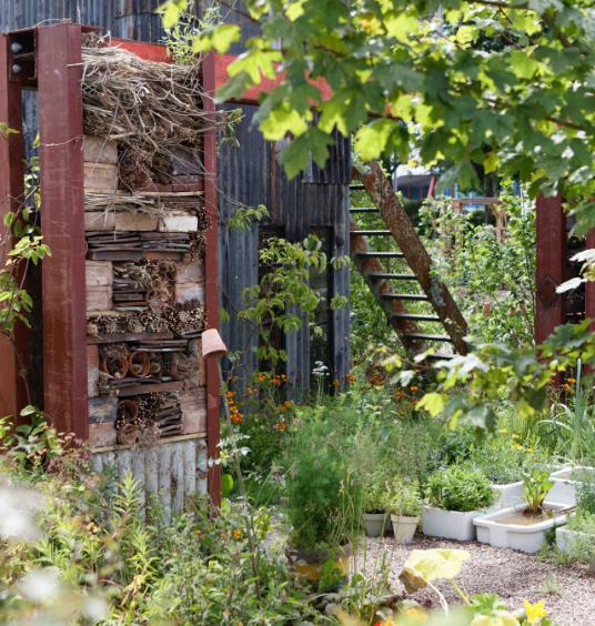 Garden scene with shed, ladder, and collection of plant beds and pots