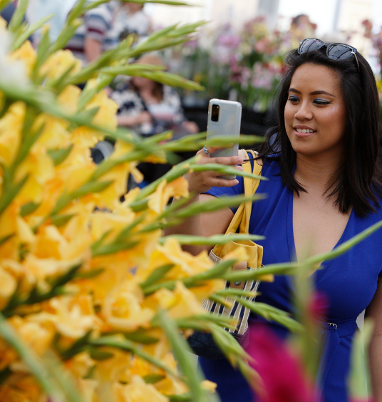 Festivalgoer taking picture of flowers using her smartphone at BBC Gardeners' World Live