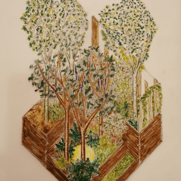 A shared chrysalis, designed by Rachel Wells, beautiful border at BBC Gardeners' World Live