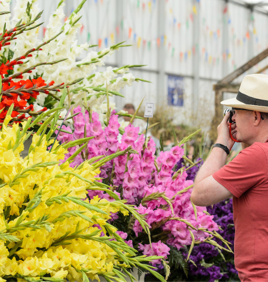 Man photographing plants at BBC Gardeners' World Live